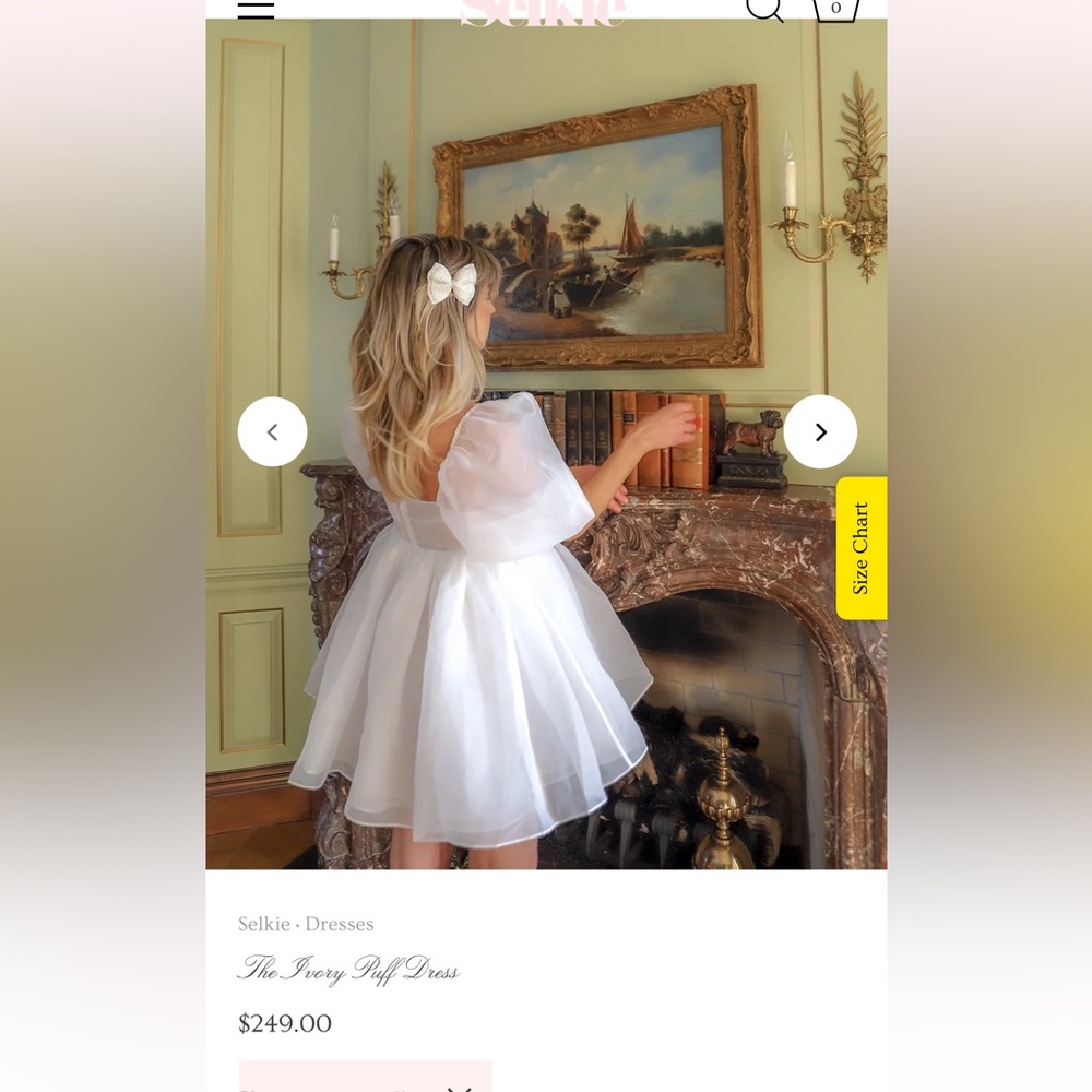 The one and only selkie dress